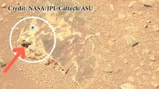 MARS Latest 4K Images of MARS by NASA's Perseverance Rover update Today | Mars missions  LIVE |