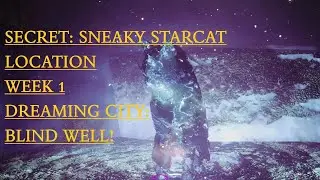 D2 Secret: Sneaky Starcat: Location Week 1: Dreaming City: Blind Well!