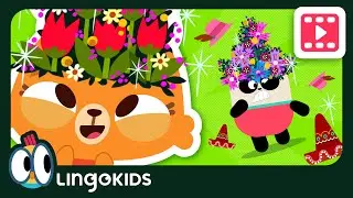 SORT & COMPARE! 👒📏 Fun MATH & Cartoons About SIZES | Lingokids