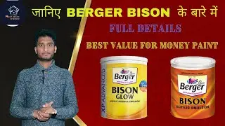 Berger bison glow acrylic emulsion paint | Berger bison paint | Berger paint | nest decor interior