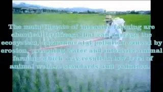 Intensive Farming Issues