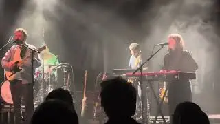 Admiral Fallow-Tuesday Grey