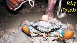We Caught a Big Crab | Crab | Costal Area Fishing