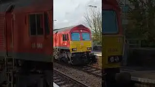 66044