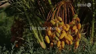 #worldenvironmentday2024