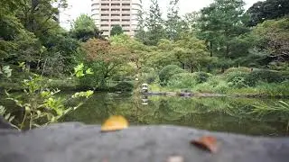 Ohbliv - Ripples To Waves