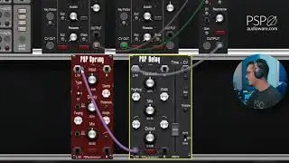 PSP modules for Voltage Modular Beginner Guide