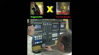 Alborosie - Raggamuffin  X John Wayne - You Too Greedy