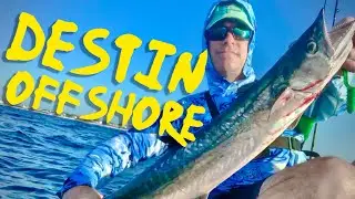 Destin Offshore Kayak Fishing - Multiple Species Caught
