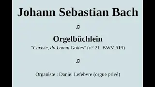 DLUccle BWV619 D190221A