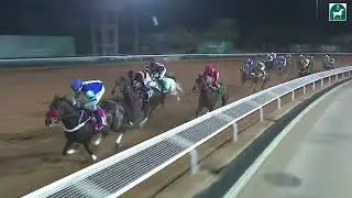 الشوط الحادي عشر للحفل 65 بموسم سباقات الرياض