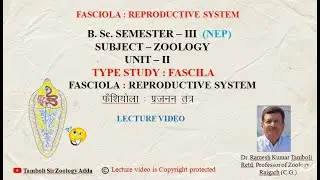 Fasciola Reproductive System | Video Lecture | ZOOLOGY | By Dr. R K TAMBOLI