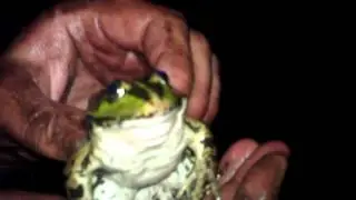VIDEO0060