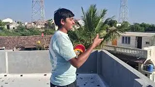 Biggest Kite Flying Challenge - किसकी पतंगसबसे अच्छी उड़ेगी | 