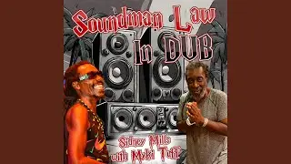 Soundman Law In Dub (Tik Tok Fast Version)