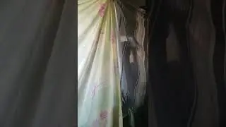This is Bolan Express #subscribe #youtubeshorts #travel