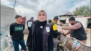 See how the mobile vet clinic in Gaza is supporting working animals in desperate need.