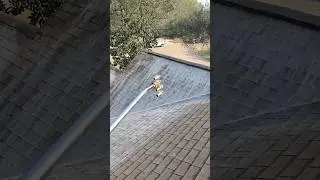Why roof rejuvenation looks different on each slope