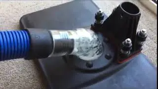 Pet Urine Removal Service In Dallas Tx