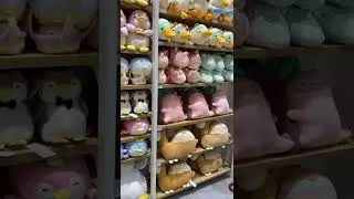 Apertura Miniso a Milano! 🇯🇵