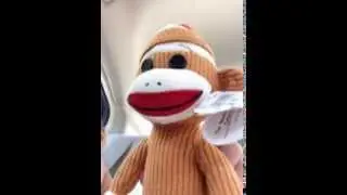 Monkey Singing Katy Perry's 