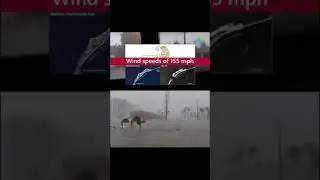 Climate Disasters 2022. Part 1 #climate #disaster #news #globalnews #important #shorts