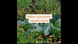 Udnyt pladsen - interplanting