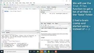 Python and R #1.5: 'for' loops
