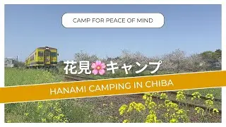 Camping at Eleven Auto Camp Park & Isumi Railway Sightseeing (花見🌸キャンプ場)