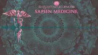 Internal Alchemy Series 4: Shen Energy by Sapien Medicine ver2.0