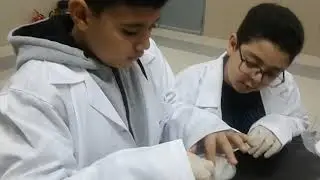 primary 5 methods of separation science lab معمل العلوم طرق الفصل الصف الخامس filtration - magnet