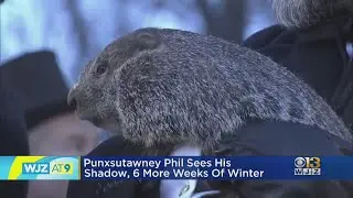 Groundhog Day 2023: Punxsutawney Phil predicts six more weeks of winter