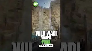 Wild wadi water park in Dubai 🇦🇪#waterpark #dubai #travel #explorar