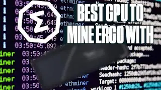 Лучшая видеокарта для майнинга Ergo