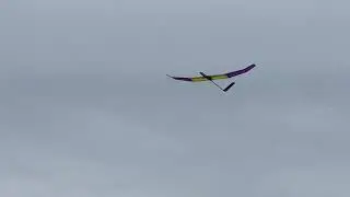 RC NIMSA PuRES 2m Glider.