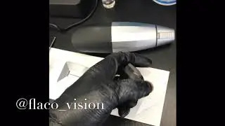 Bevel Trimmers: How to Modify Blade