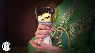 Catholic Mass Today: 10/8/25 | Wednesday of the Twenty-Seventh Week in Ordinary Time