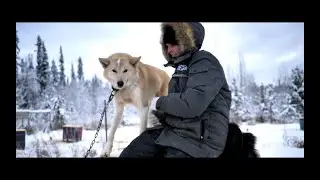 Alayuk Adventures - Kennel Dec2022