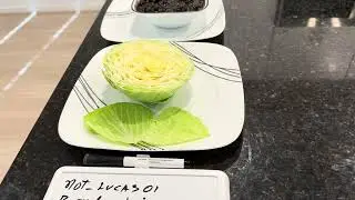 MEAL OF THE DAY DEDICATED 