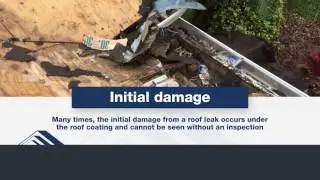 Roof Repair and Replacement Bay Area Roofing Tampa Bay