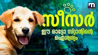 'അമ്മ പോയി, കുപ്പിപ്പാലൊക്കെ കൊടുത്താ ഞങ്ങൾ വളർത്തിയേ; ഭയങ്കര കുസൃതിയാ' | Pet | Dog | Pathanamthitta