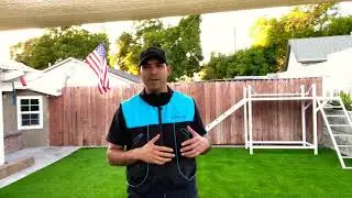 Teaching a German Shepherd to not run out of 🚪