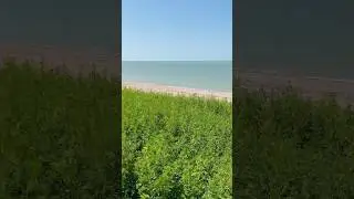 #sea #season #beach #nature #voyage #море #азовскоеморе #краснодарскийкрай #путешествия #кайфуй