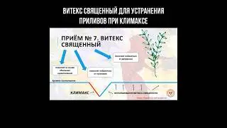 Витекс священный для устранения приливов при климаксе #витекс #приливы #климакс