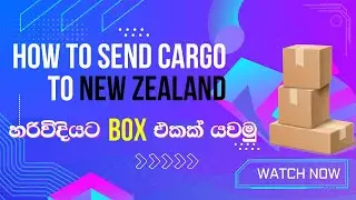 හරිවිදියට BOX එකක් යවමු 📦🚢🚚| Send cargo box Dubai to New Zealand