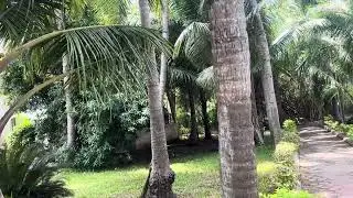 Dindi resorts  @waterfall_jang #resort#resorts #travel #naturelovers #nature #godavari 