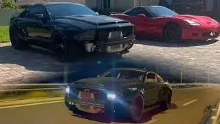 Taking my Widebody Boosted Mustang to a Car Meet After a Year! *LOUD*