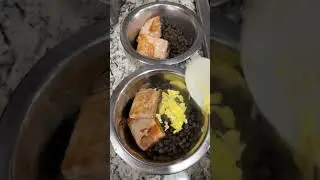 QUICK BREAKFAST FOR FRENCHIES #breakfast #frenchie #frenchbulldog #food