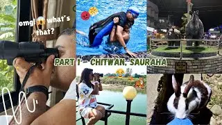Best place for kids to experience Animals? Family Travel @Chitwan, Sauraha Nepal !