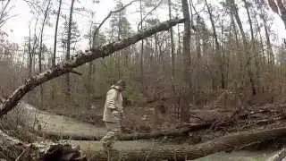Flatside Wilderness, Ouachita National Forest, Arkansas